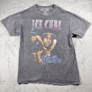 Ice Cube Graphic T-Shirt Today Was a Good Day Gray Men's M